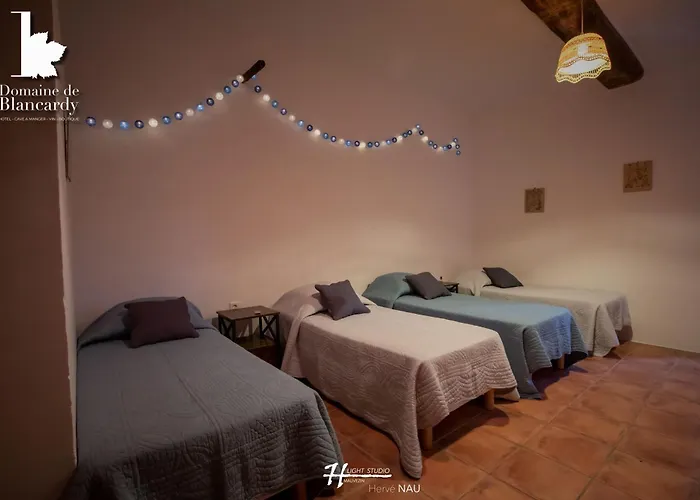 Hotel Domaine De Blancardy